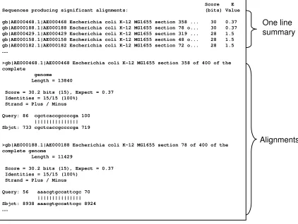 Figure 2.3: BLAST Output
