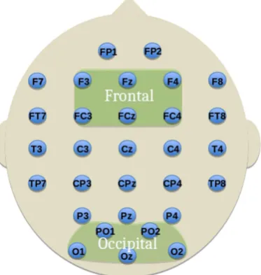 Figure 3. The frontal and occipital modules defined for network analysis. Labelled electrodes follow the 10-20 system.