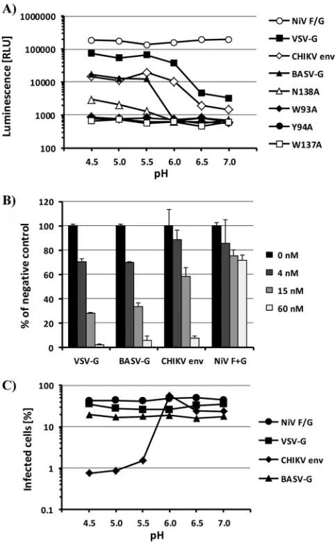 FIG 4 Activation of BASV-G fusion activity is pH dependent and reversiblefuse at the indicated pH values.unit ofdetermined at 5 h postfusion by using the chemiluminescence-based Galacto-Light assay system
