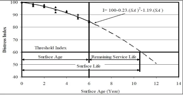 Figure 2.18  Distress Index vs. Surface Age as an Output of the Performance Prediction    