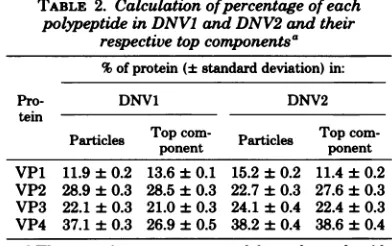 FIG. 4.particles;particles;stainedacontained 10% Densitometric traces of the polypeptides by DNV particles and top components with Coomassie blue after electrophoresis on SDS-polyacrylamide slab gel