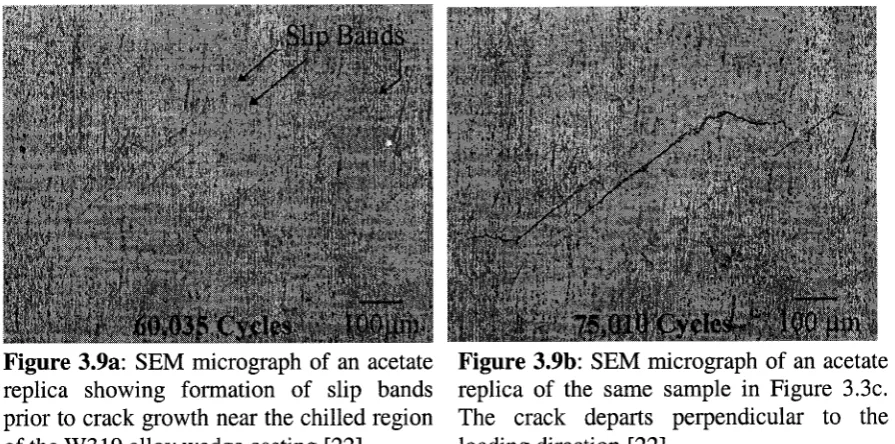 Figure 3.9a: SEM micrograph of an acetate 