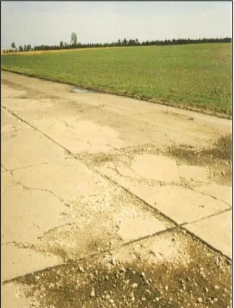 Figure 19: Severe Deterioration on Taxiway-F at Rantoul NAC  A preliminary site investigation was conducted in 1998 to assess the pavement 