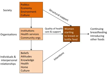 Figure 1: Simplified Ecological Model from Stakeholder Meeting January 2013 