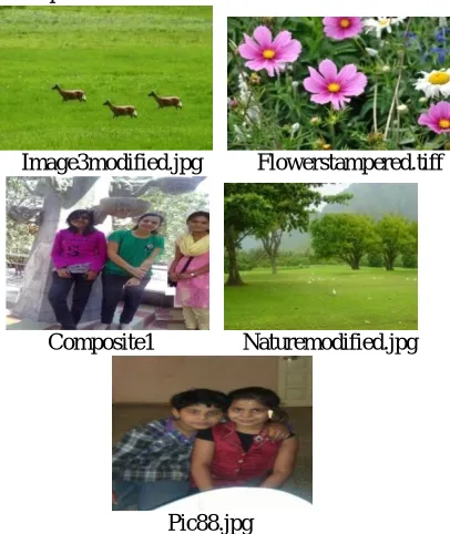 Table 1. Entropy, Mean Intensity and Peak analysis value comparison Choose reference images  