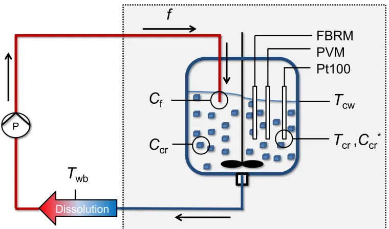 Figure 1. Schematic representation of the experimental setup which consisted of a 1L 