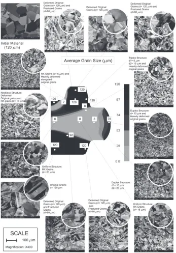 Fig. 4. Grain-size comparison between metallographic analysis and microstructure simulation