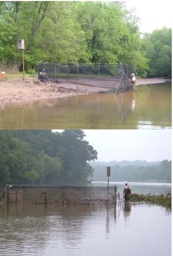 Figure 3.  Experimental exclosures (6 m × 6 m × 2 m, 1.3-cm plastic mesh).  The upper photograph was taken during exclosure construction with a 1-m drawdown of Lookout Shoals Lake