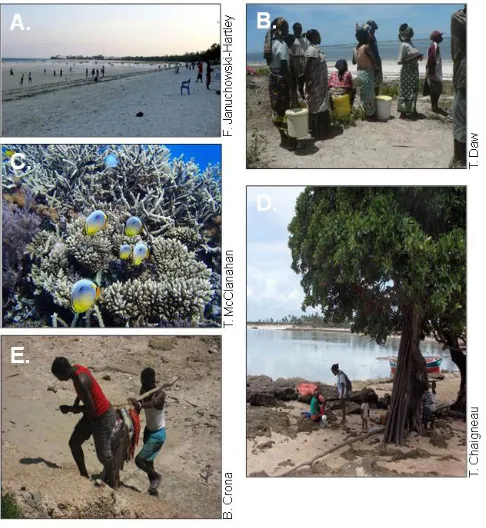 Fig. 3. Images representing the five ecosystem services in Table2. (A) The wave attenuation provided by the coral reef offshoreat Bamburi beach, Mombasa, provides calm waters andbeachfront for recreation in the evenings