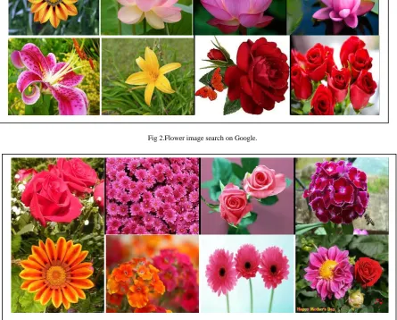 Fig 2.Flower image search on Google.  