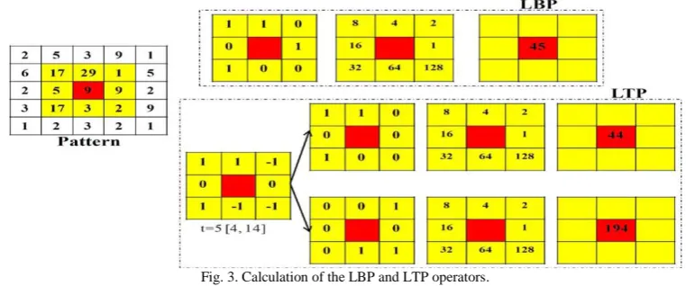Fig. 3. Calculation of the LBP and LTP operators.  