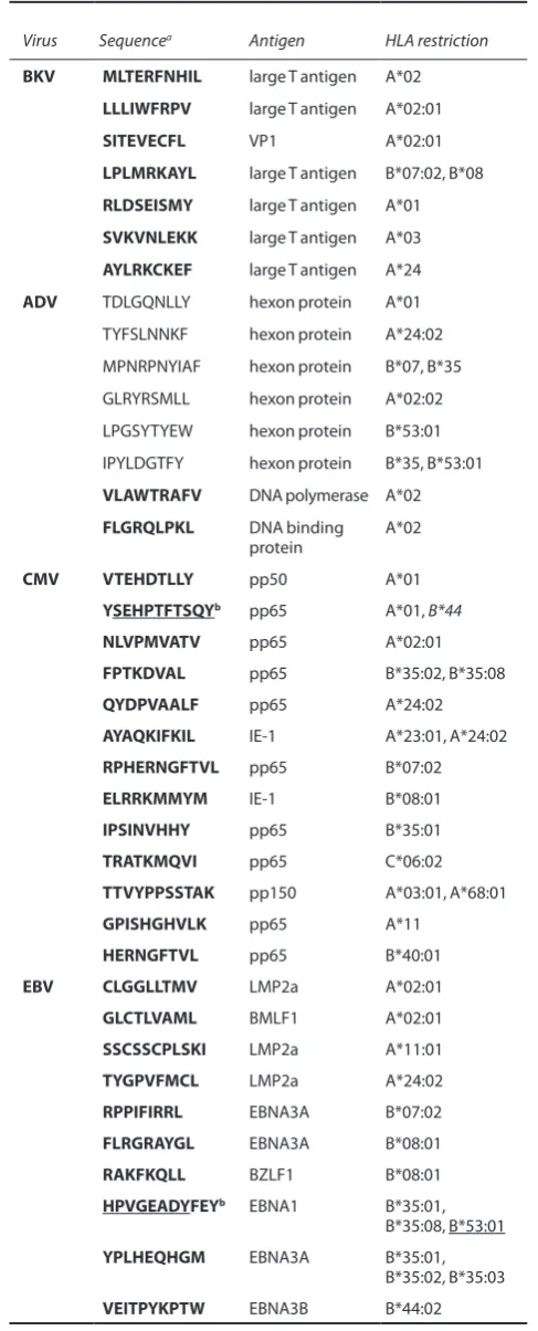 Table 2 List of HLA class I restricted T-cell epitopes included in Ad-MvP