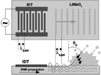 Figure 2.12 Schematic of nanoscale wave propagation and atomization [108]. 