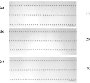 Figure 3.8. The result of printed droplet under pulsed DC voltage with different duty cycles (scale bar: 50 μm) 