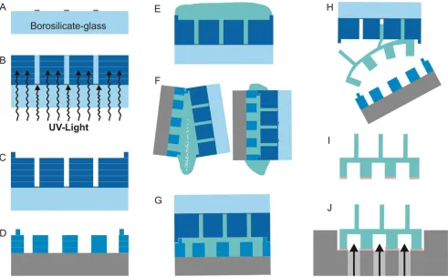 Fig. 5  Process flow for the fabrication of the biomimetic particle transporter chip. Two moulds are needed