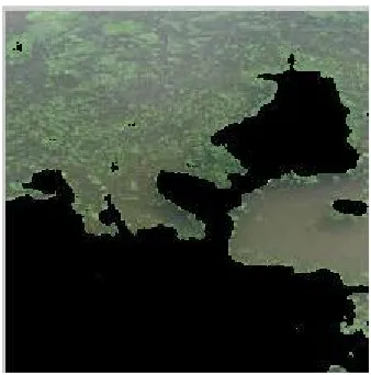 Fig.6 Input Image   