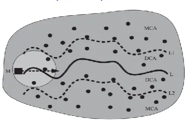 Fig 2 An example of path-constrained mobile WSNs 