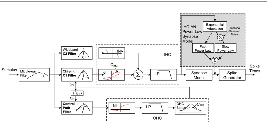 Figure 2.6: Schematic diagram of the AN model. Adapted from Zilany and Bruce [97]. The