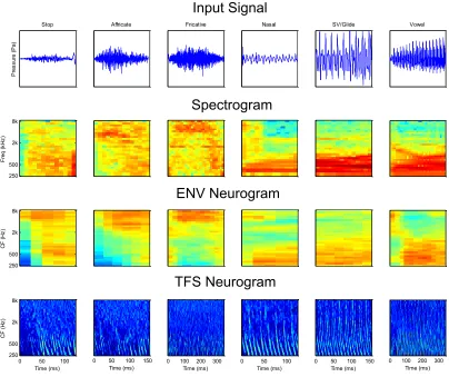 Figure 2.13: Examples of phonemes from the 6 TIMIT phoneme groupings. For each examplephoneme, the pressure wave, signal spectrogram, ENV and TFS neurograms are shown