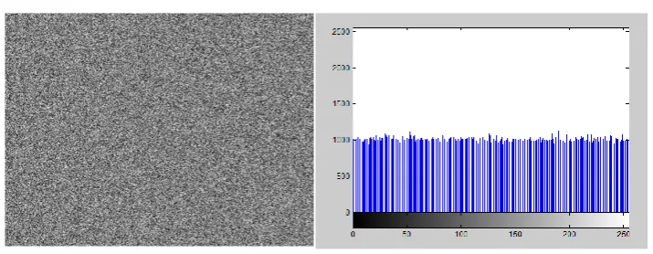 Fig.3 Encrypted image and its histogram  
