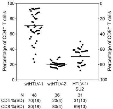 FIG 2 Recombinant HTLV-1/SU2 provirus can infect and immortalize fresh PBMCs in culture