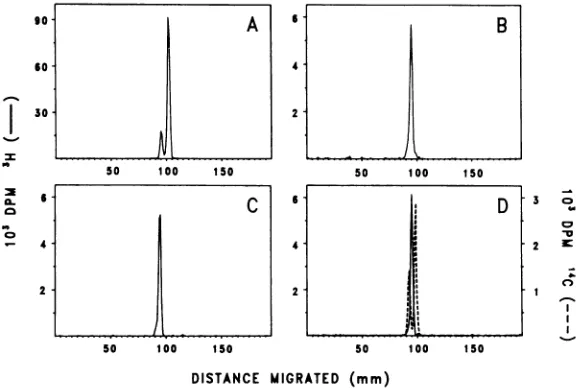FIG. 2.Fig.BBV.describedID, Electrophoretic profiles of coat protein of the radioleucine-labeled virus-like particles shown in 1