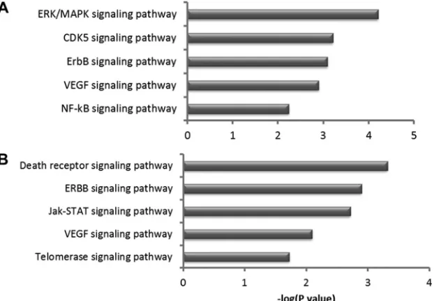 FIG 11 Overrepresented motifs in up- and downregulated genes. Comparison of motifs along with sequence logos in up- and downregulated genes and thepercentage of genes with the occurrence of each motif.