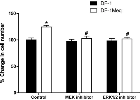 FIG 13 Functional validation of the role of ERK/MAPK signaling in Meq-