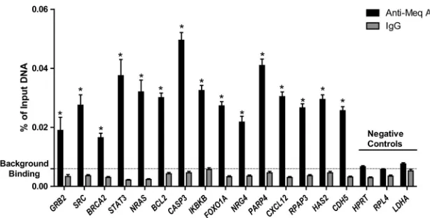 FIG 1 ChIP-qPCR validation of a subset of Meq binding sites from ChIP-seq data. Negative-control regions were based on housekeeping genes with no Meqpeaks
