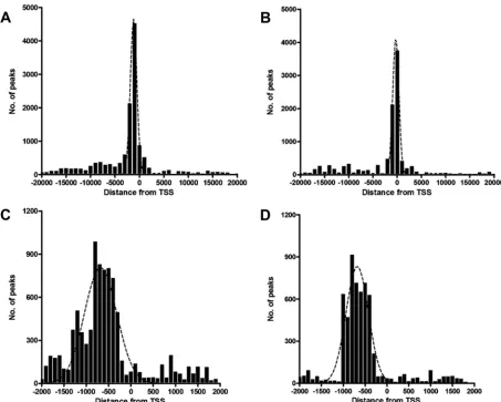 FIG 3 Genomic distribution of Meq binding sites. The chicken genome was