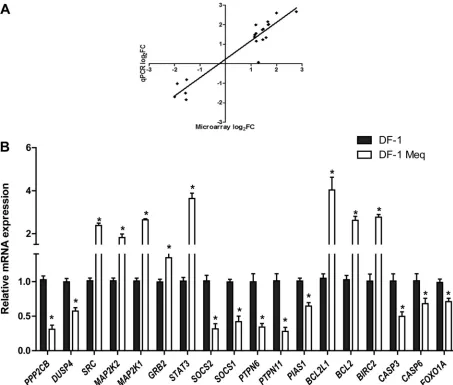 FIG 8 Comparison of gene expression through microarrays and qRT-PCR. (A) Correlation plot comparing differential gene expression using microarrayanalysis to qRT-PCR data on a subset of 20 genes in the Meq-DF-1 cell line