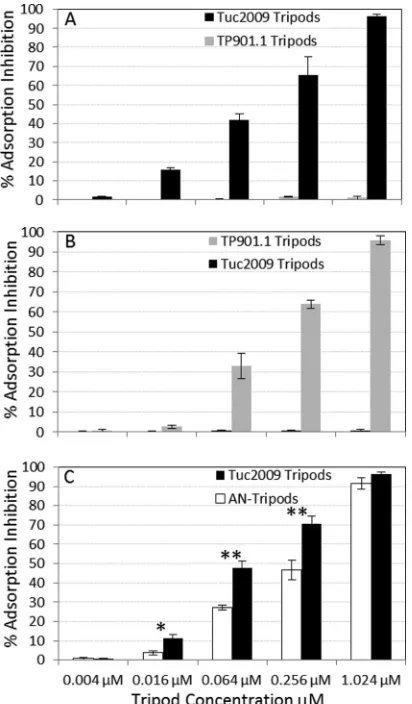 FIG 9 Adsorption-blocking assays. (A) Adsorption inhibition was deter-Tuc2009 or TP901-1 phage tripods, followed by adsorption assays usingTP901-1