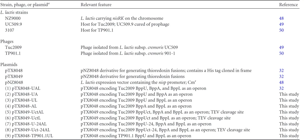 TABLE 1 Bacterial strains, phages, and plasmids used in this study