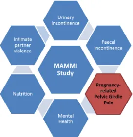 Figure 1-1 Overview of the MAMMI study strands 