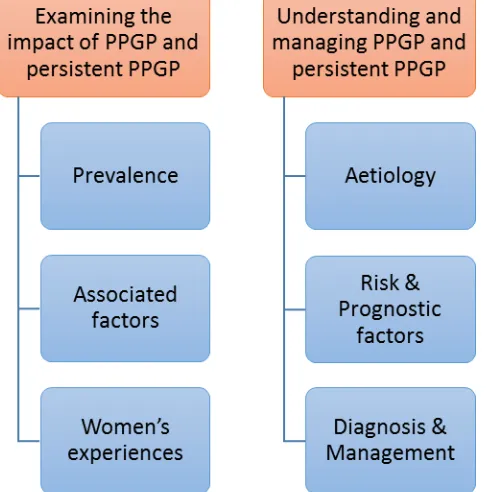 Figure 2-1 Map of the literature review 