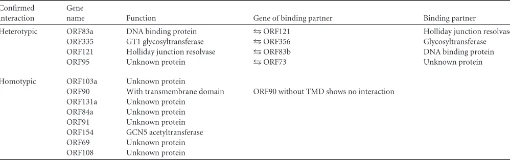 TABLE 1 Yeast two-hybrid interaction analysis of SIRV2