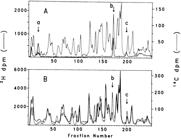 FIG. 2.versus Tryptic profiles of lysine-labeled EMC viral proteins C, D, and VPg. (A) 'H-labeled VPg ( "C-labeled protein C (-----)