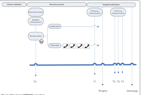 Figure 1 Flowchart of PREPARE procedures.