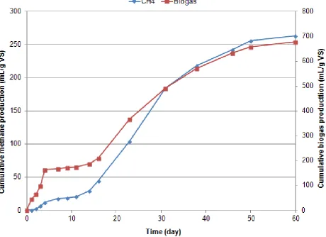 Figure 2. Cumulative biogas and methane production from the solid residues. 