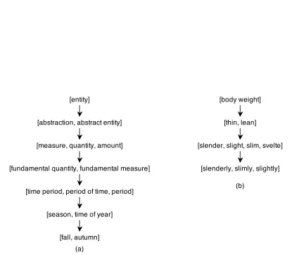 Figure 3.4:(a) noun synset hierarchy for[ [fall, autumn] synset (b) adjective hierarchy forslenderly, slimly, slightly] adverb synset: root synset is [body weight] attribute noun synset,followed by head adjective synset, satellite adjective synset, and pertainym adverb synset