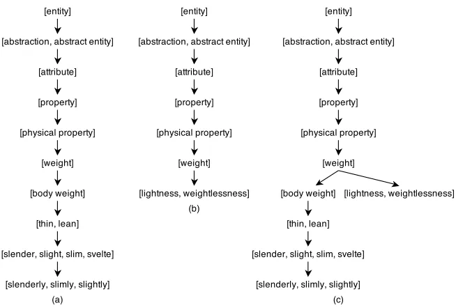 Figure 3.7:(a) adjective hierarchy extended by attribute noun hypernym hierarchy (b)noun hypernym hierarchy (c) merging adjective hierarchy into noun hierarchy