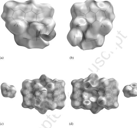 Fig. 10. (a) Front, (b) back view of dAccepted Manuscriptnorm mapped on the Hirshfeld surface of Form II, (c) front and 