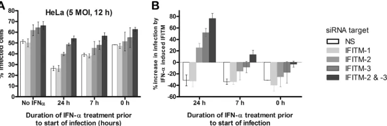 FIG 8 IFITM proteins do not inﬂuence RVFV infection after virus entry. (A) HeLa cells were transfected with siRNAs targeting IFITM-1, -2, or -3 individually,IFITM-2 and -3 together, or nontargeting siRNA for 24 h, following which cells were not treated (No
