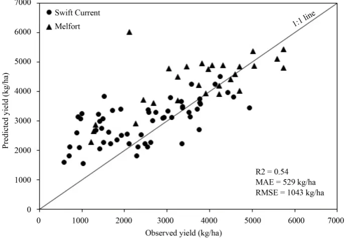 Figure 3. Relationships between observed and predicted yields during the robustness test of APSIM at two selected sites in Saskatchewan, Canada