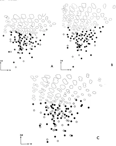 FIG.,.:,*AfrommixtureFeLVdimensionalRNaseFeLVA;onlycircles) and 2. Comparison ofthegenomes ofFeLV