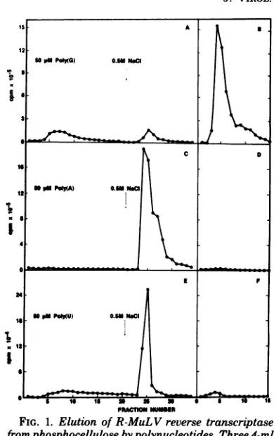 FIG.1.fromsamples Elution of R-MuLV reverse transcriptasephosphocellulose bypolynucleotides