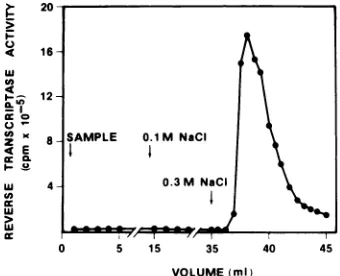 FIG. 3. poly(G) Chroma and R