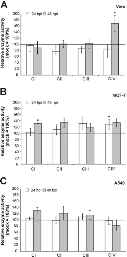 FIG 3 Activities of mitochondrial respiratory chain complexes I, II, III, and IVwere measured in mitochondria isolated from MV-infected Vero (A), MCF-7(B), and A549 (C) cells