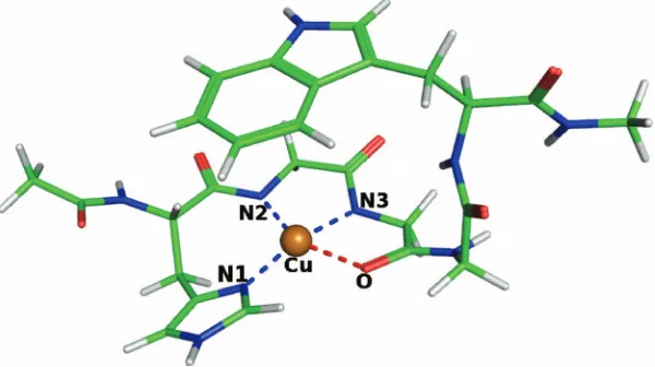 FIG. 5. �a fragment of PrP protein. The copper ion is shown ingold, carbon atoms are colored green, nitrogen atomsblue, oxygen atoms red, and hydrogens gray