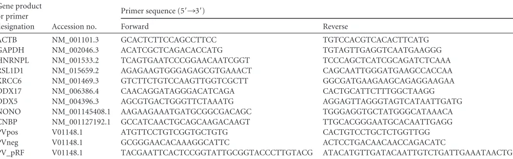 TABLE 1 The gene product and primer designations, accession numbers, and primer sequences used in this study